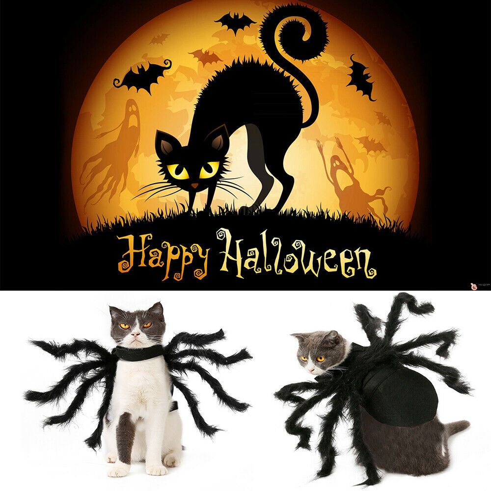 Pet Spider Costume Halloween Pet Spider Clothes Dog Cat Horror Simulation view 11