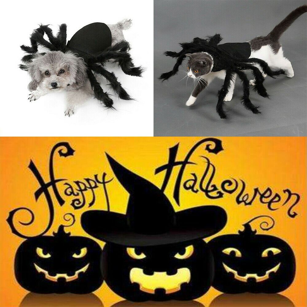 Pet Spider Costume Halloween Pet Spider Clothes Dog Cat Horror Simulation view 12