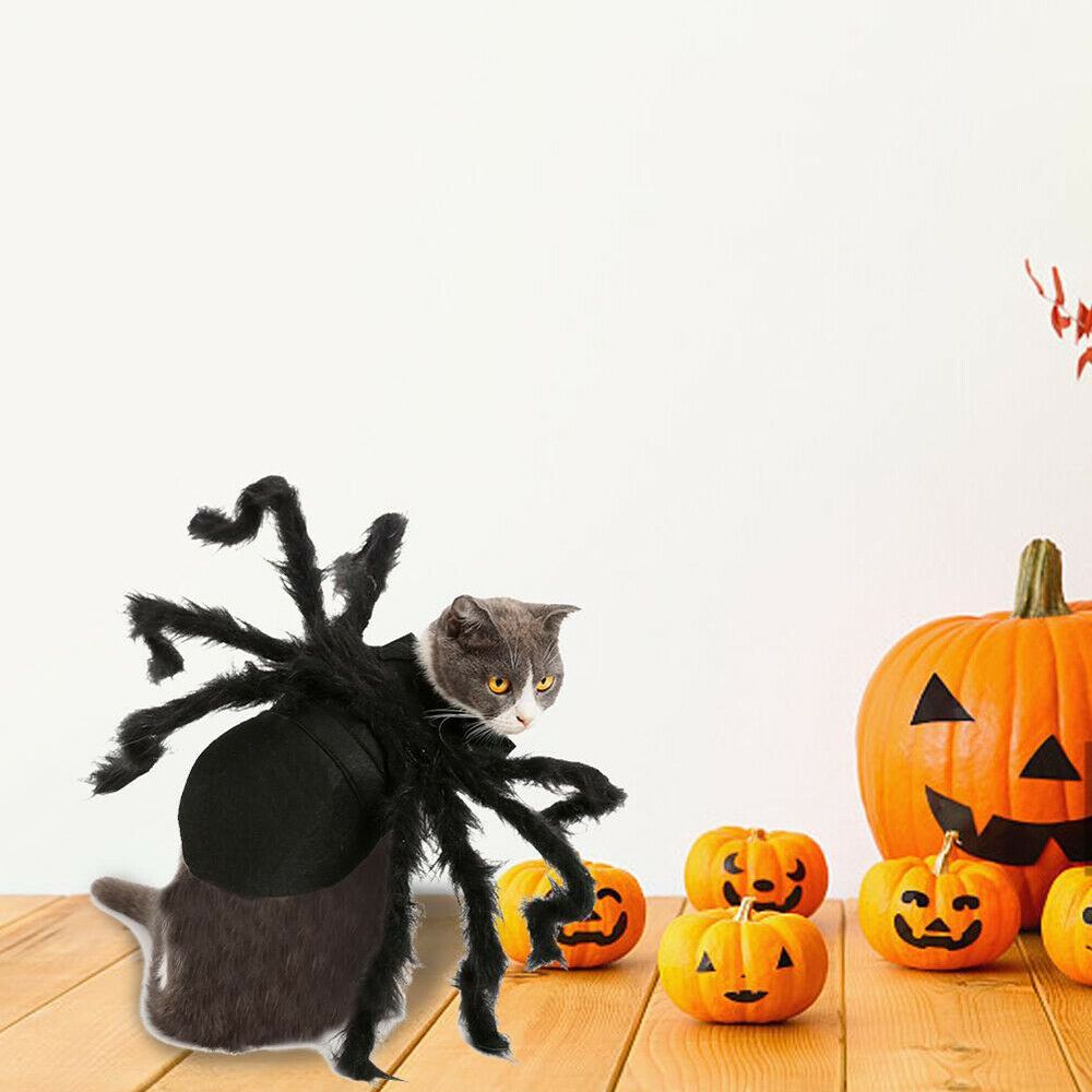 Pet Spider Costume Halloween Pet Spider Clothes Dog Cat Horror Simulation view 14