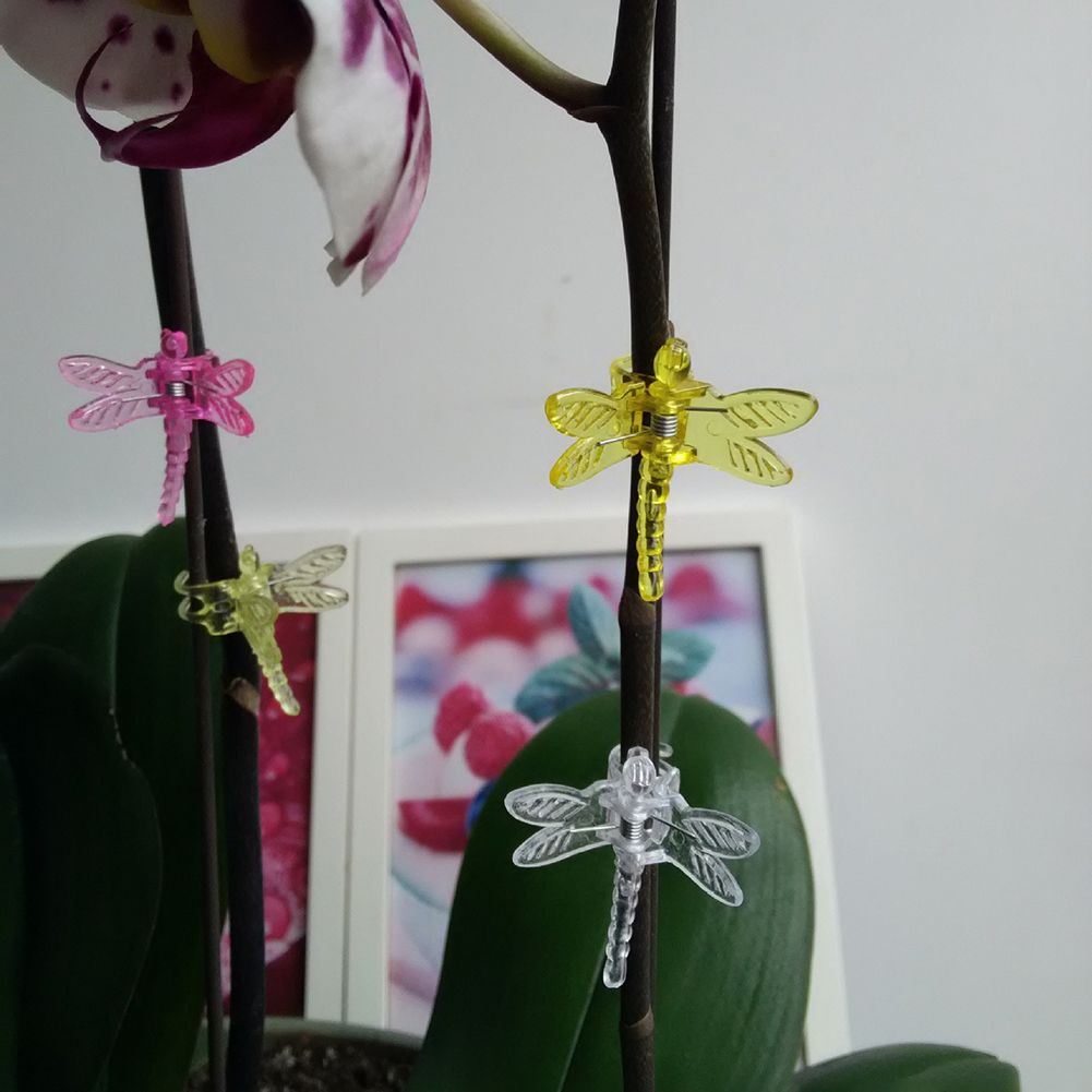 30 Pcs Dragonfly Orchid Clips Plastic Garden Plant Support Clips Flower Vine Clips view 10