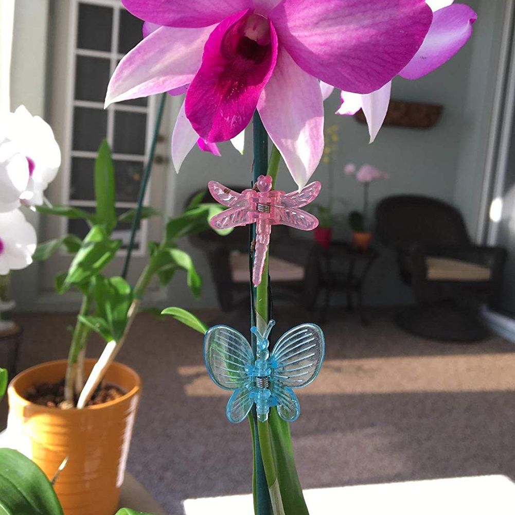 30 Pcs Dragonfly Orchid Clips Plastic Garden Plant Support Clips Flower Vine Clips view 12