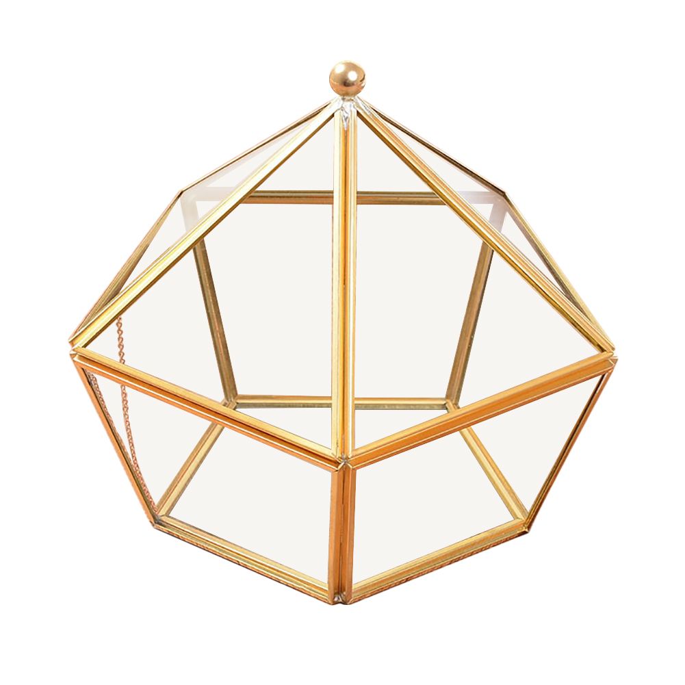 Nodic Pentagon Shape Geometric Transparent Glass Flower Room Glass Ring Box