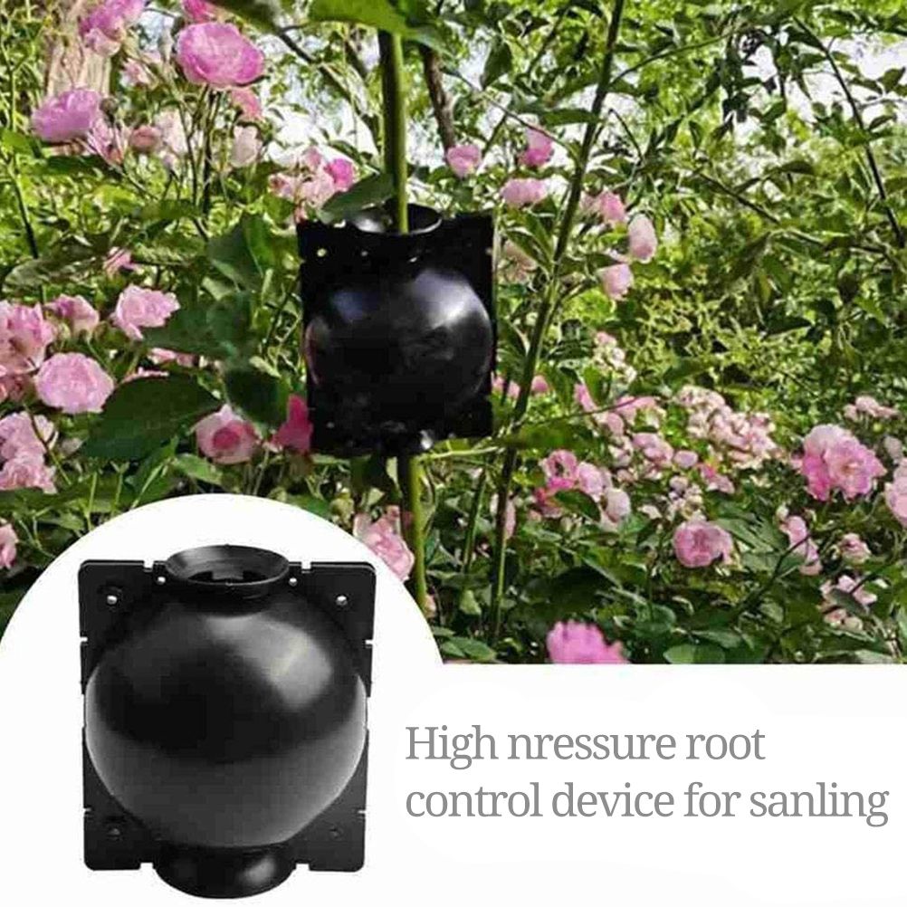 3pcs Plant Rooting Sphere Graft Rooting Growing Box Breeding Crate for Garden view 2