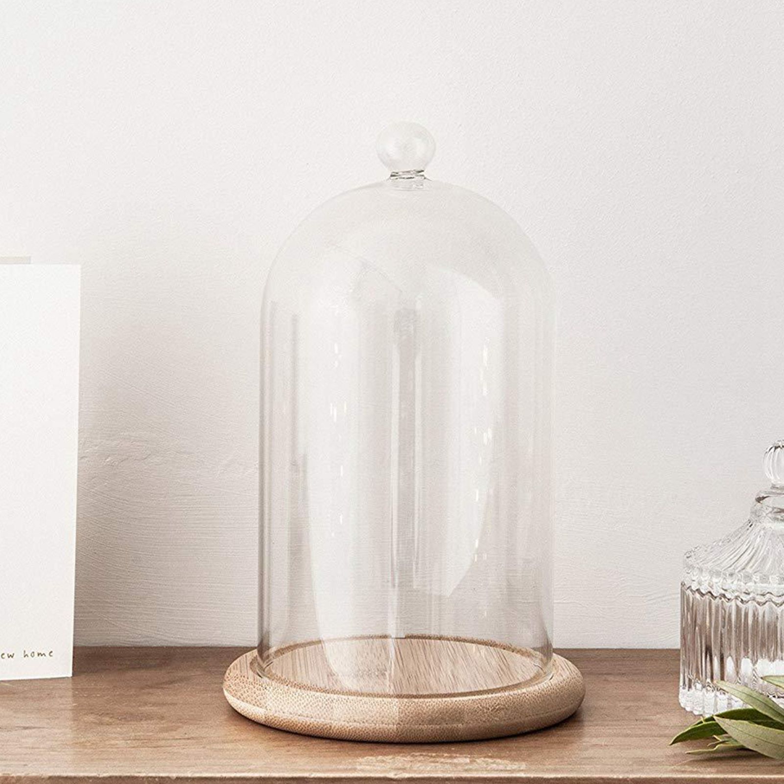 Clear Glass Jar Dome Cover Decorative Clear Glass Dome Cloche Bell Cover Fresh view 4