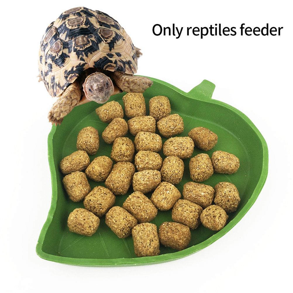 2PCS Leaf Reptile Food Water Bowl Plate Dish for Tortoise Snake Crawl Pet view 3