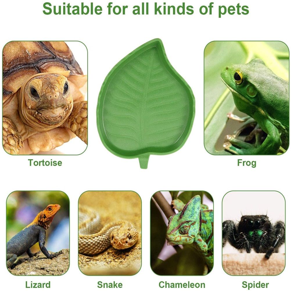2PCS Leaf Reptile Food Water Bowl Plate Dish for Tortoise Snake Crawl Pet view 4