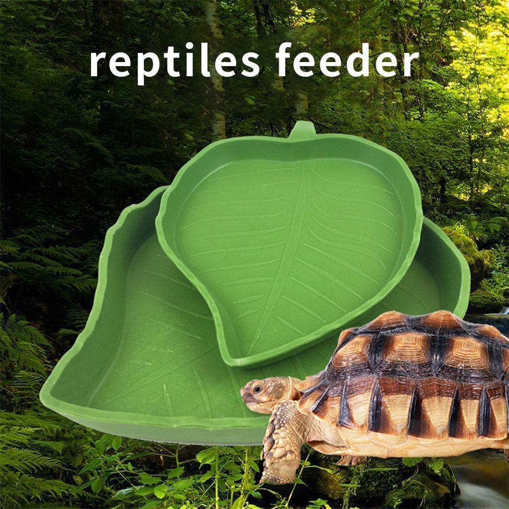 2PCS Leaf Reptile Food Water Bowl Plate Dish for Tortoise Snake Crawl Pet view 6