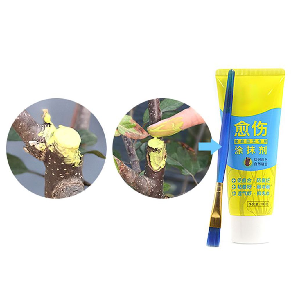 100g Bonsai Grafting Paste Plant Wound Healing Agent with Brush Pruning Paste view 8