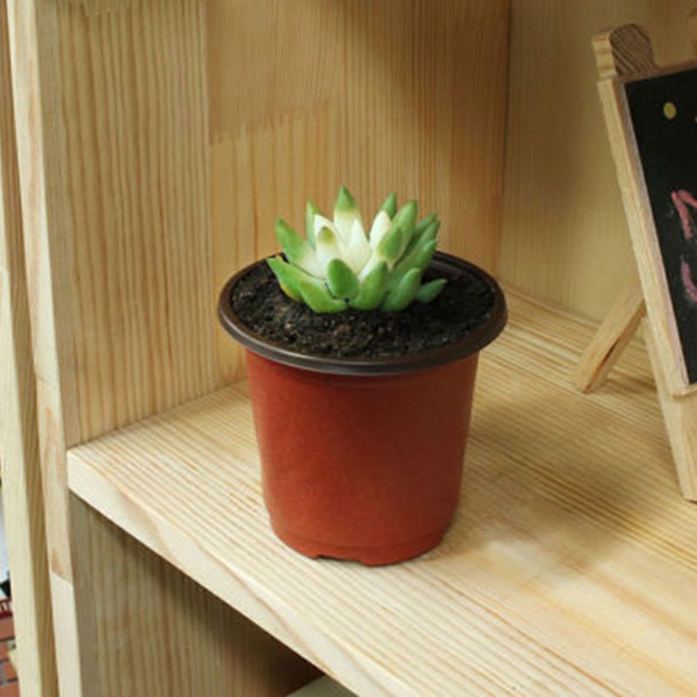 100PCS Plant Flower Pots Plastic Flower Pots Outdoor Living Garden Nursery view 5