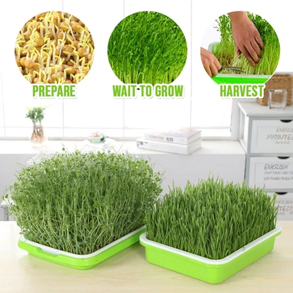 Double Layer Seedling Tray Hydroponic Nursery Tray Garden Seedling Pots view 4
