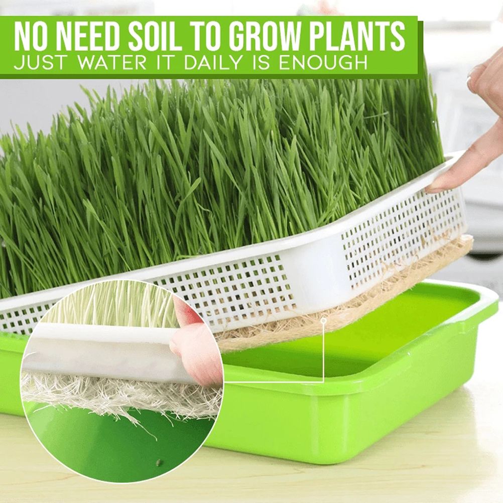 Double Layer Seedling Tray Hydroponic Nursery Tray Garden Seedling Pots view 6
