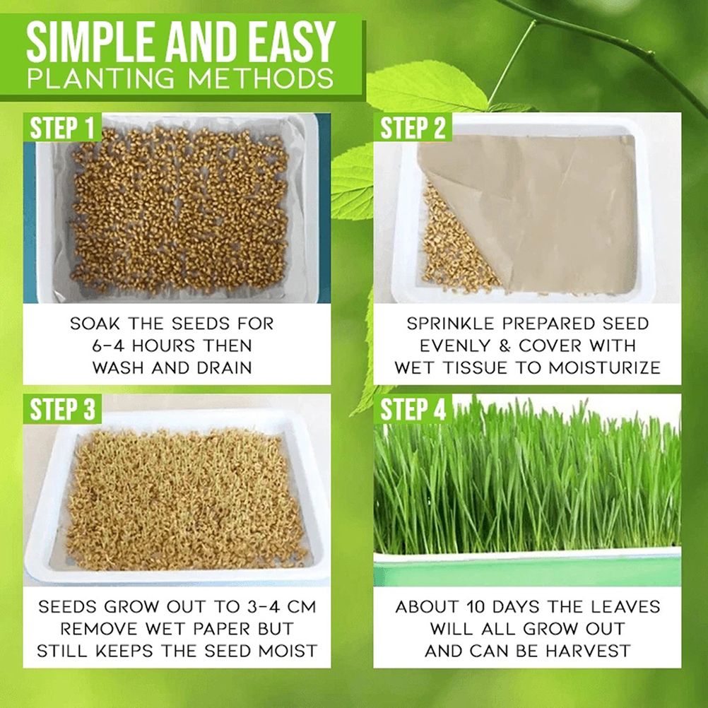 Double Layer Seedling Tray Hydroponic Nursery Tray Garden Seedling Pots view 8