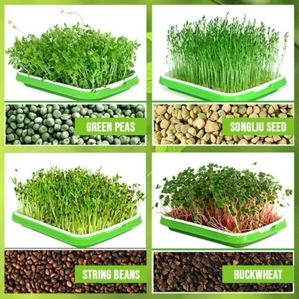 Double Layer Seedling Tray Hydroponic Nursery Tray Garden Seedling Pots view 10