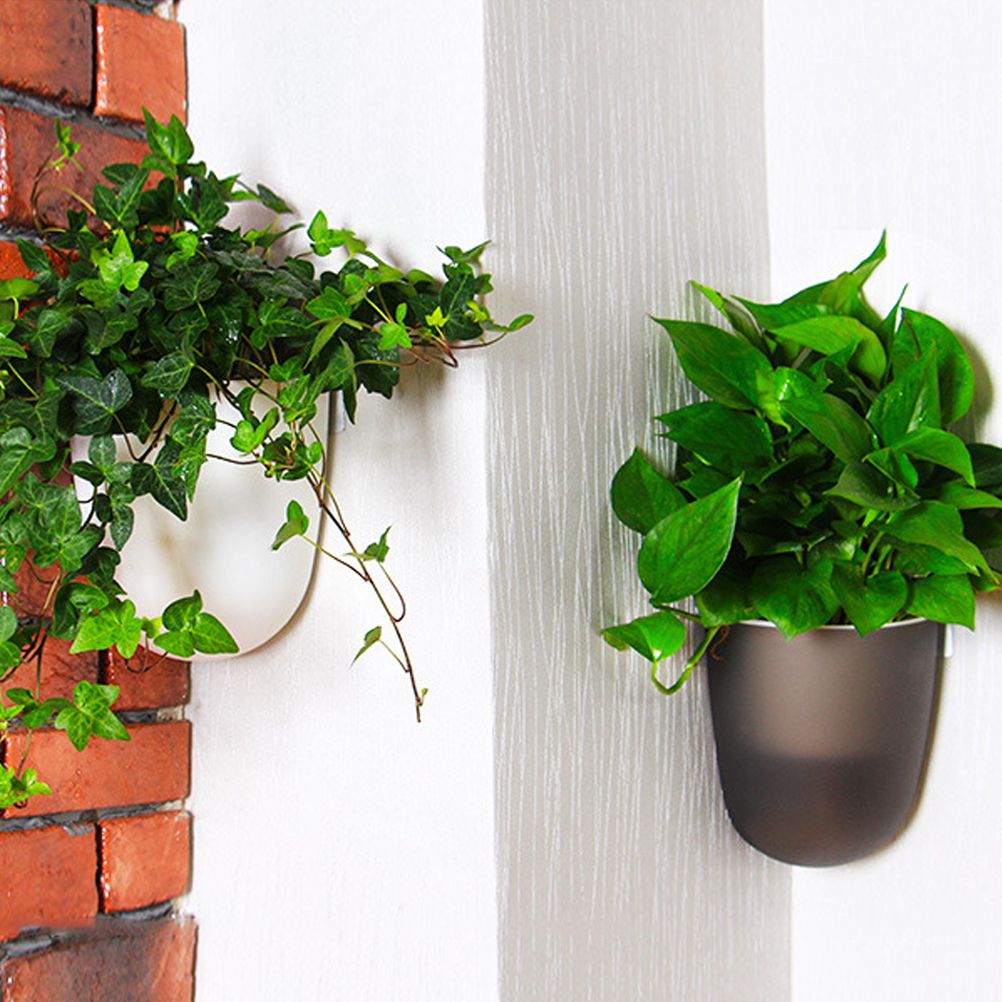 Corner Wall Mounted Flowerpot Self Watering Flower Pot Plastic Plant Pot view 8