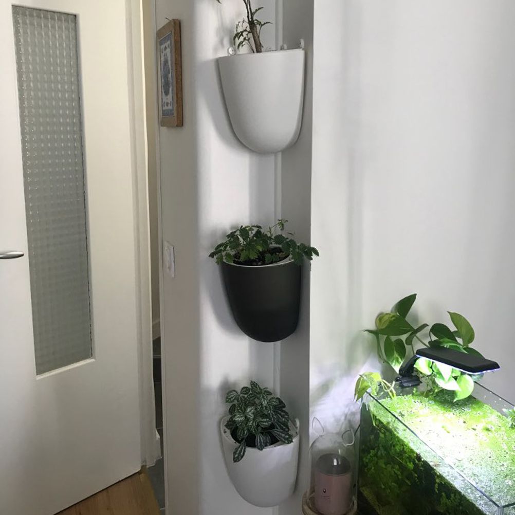 Corner Wall Mounted Flowerpot Self Watering Flower Pot Plastic Plant Pot view 9