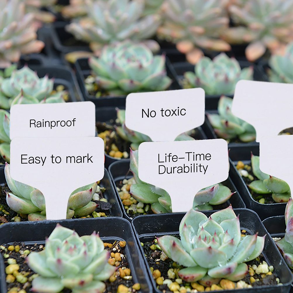 100 pcs PVC Garden Labels White Gardening Plant Sorting Sign Tag Ticket view 5