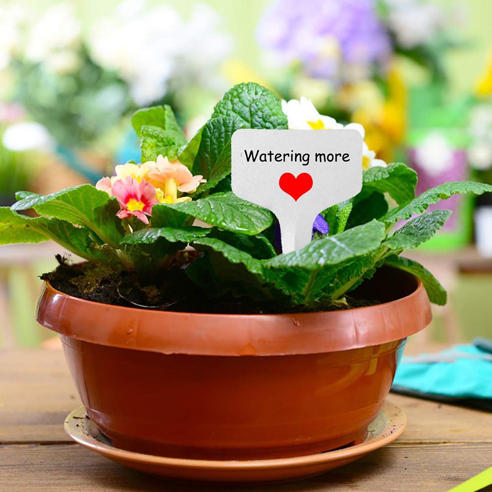 100 pcs PVC Garden Labels White Gardening Plant Sorting Sign Tag Ticket view 6
