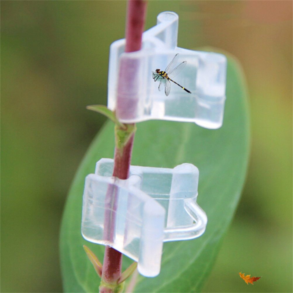 100Pcs/Set Plants Grafting Clips Garden Vine Grafting Clip Gardening Tools view 3