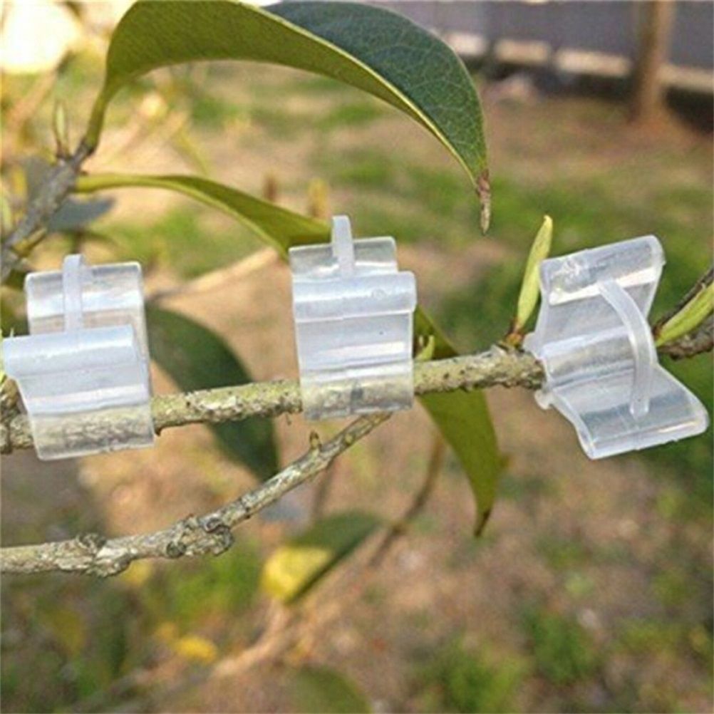 100Pcs/Set Plants Grafting Clips Garden Vine Grafting Clip Gardening Tools view 4