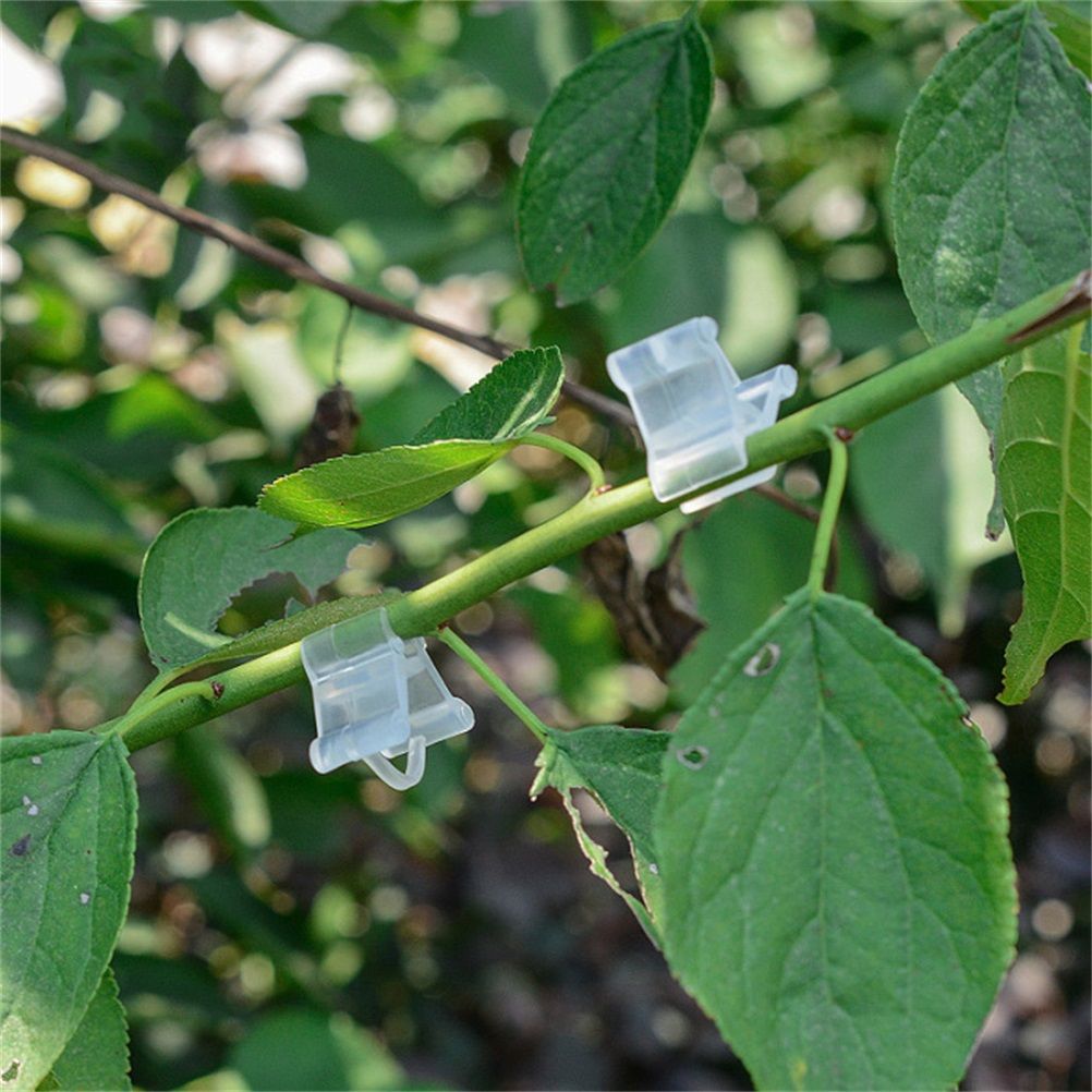 100Pcs/Set Plants Grafting Clips Garden Vine Grafting Clip Gardening Tools view 5