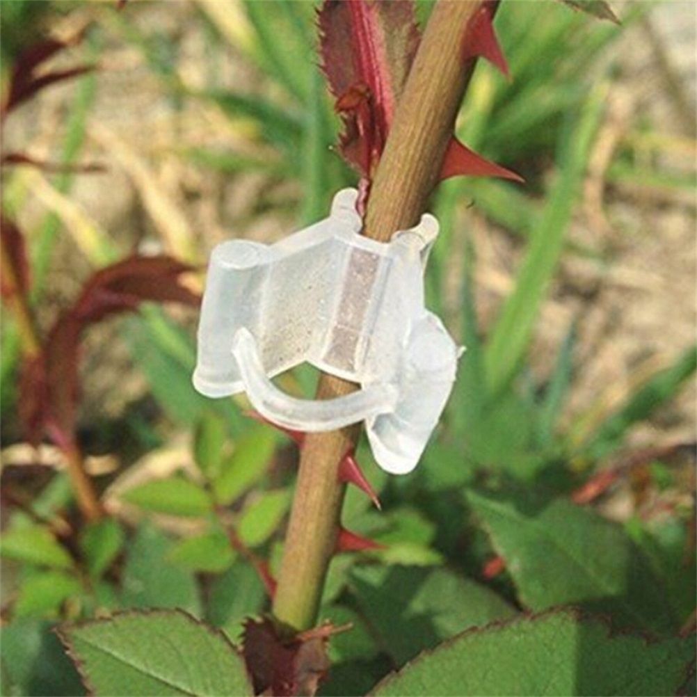 100Pcs/Set Plants Grafting Clips Garden Vine Grafting Clip Gardening Tools view 8