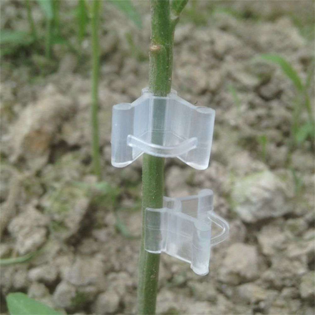 100Pcs/Set Plants Grafting Clips Garden Vine Grafting Clip Gardening Tools view 9