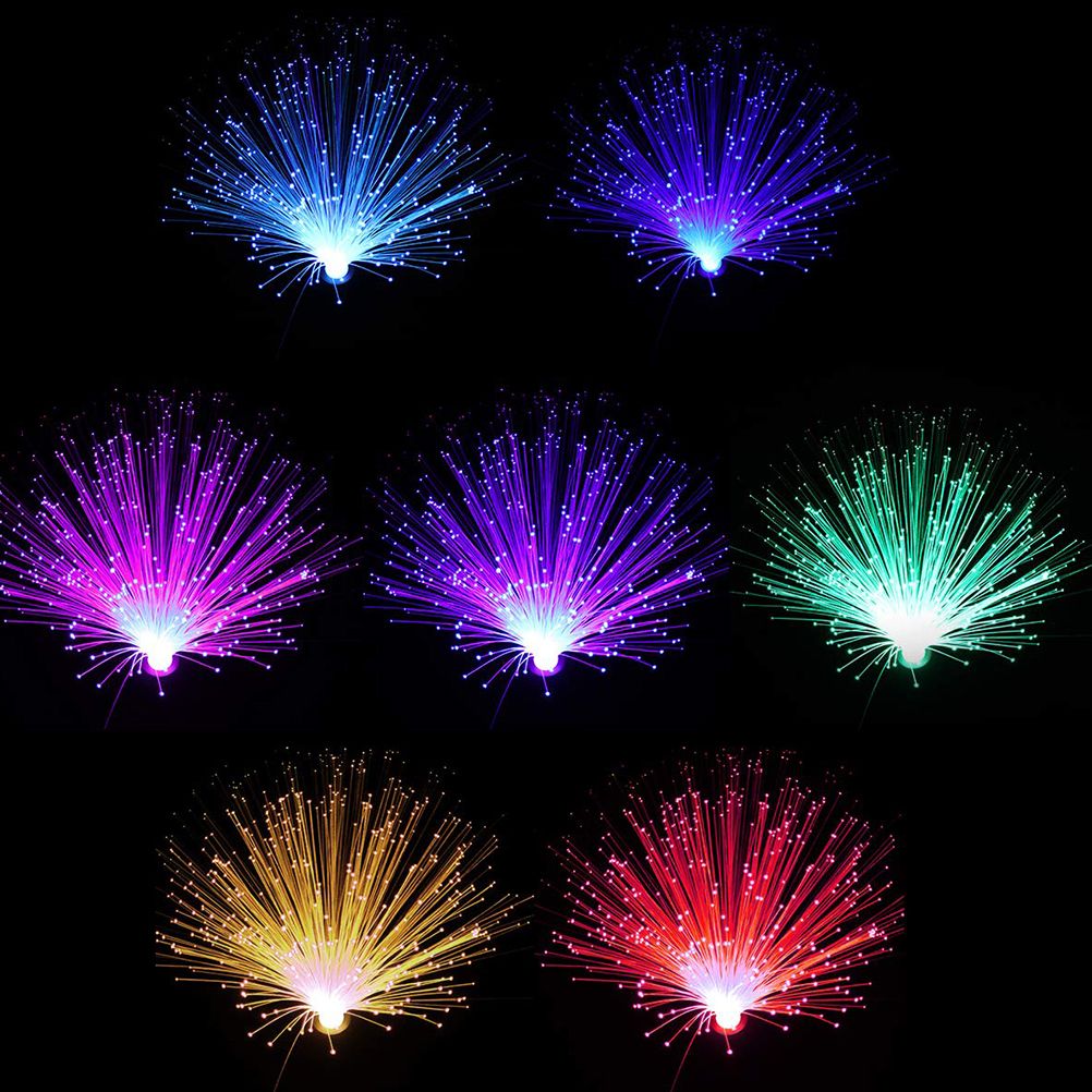 Beautiful Romantic Fibre Optic Light Color Changing LED Fiber Optic Night view 6