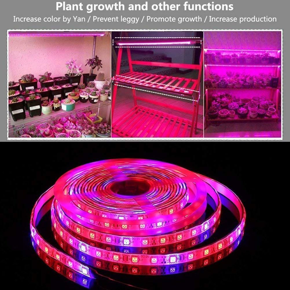 LED Plant Growth Light String 5050 SMD LED Light Waterproof Plant Light for view 2
