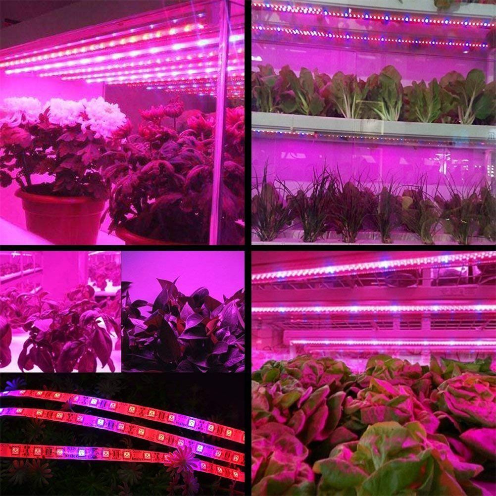 LED Plant Growth Light String 5050 SMD LED Light Waterproof Plant Light for view 3