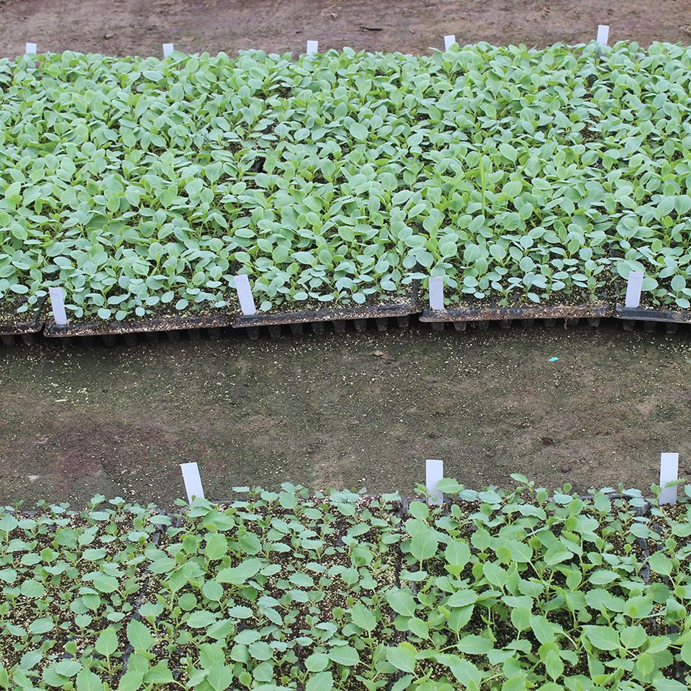 100PCS Plastic Plants Labels Garden Tags Stakes Reusable Plants Markers view 3
