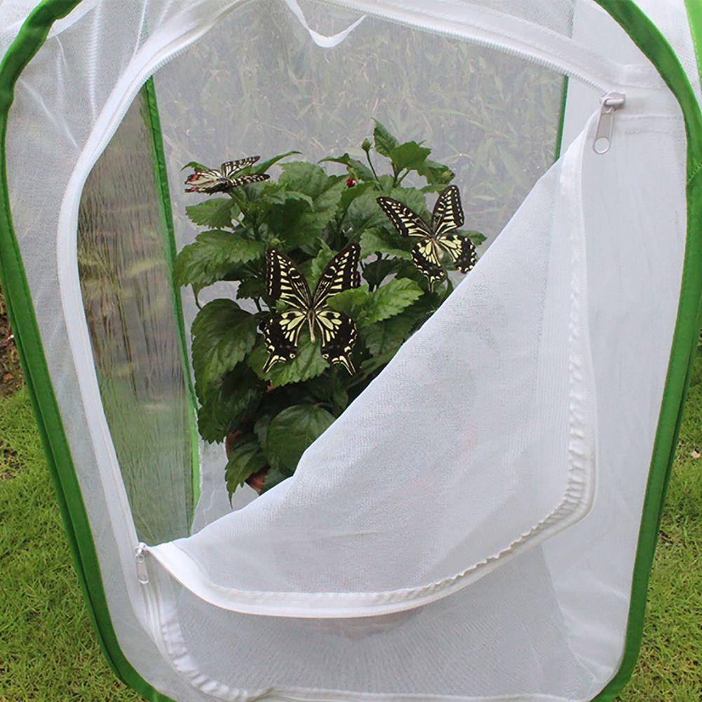 Portable Insect Butterfly Habitat Cage Insect Housing Enclosure Breeding Cage view 6