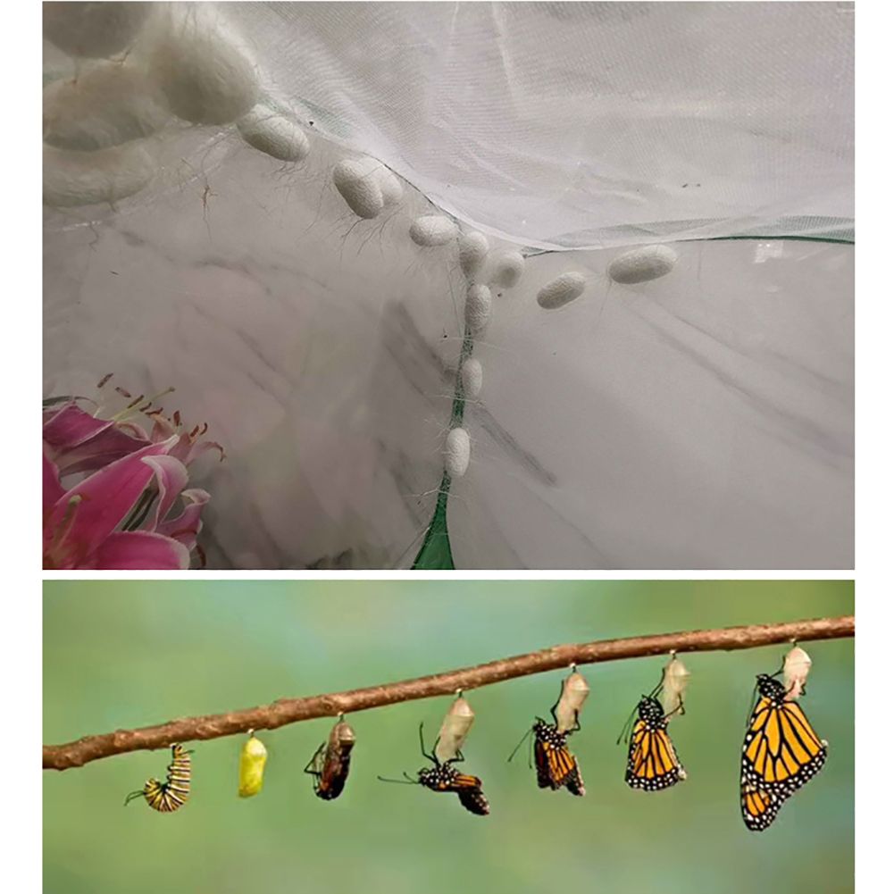 Portable Insect Butterfly Habitat Cage Insect Housing Enclosure Breeding Cage view 8