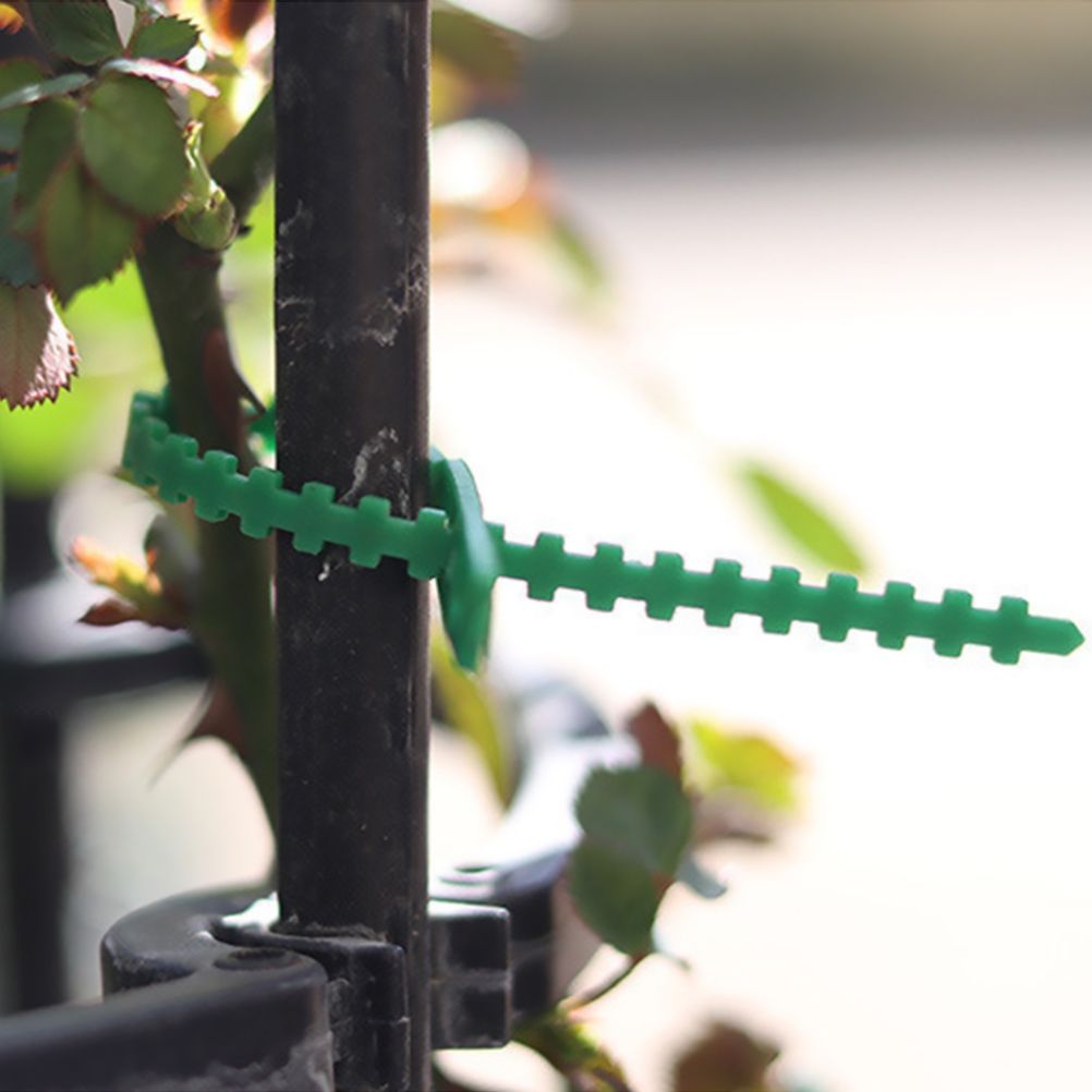 100PCS Tree Ties Adjustable Plant Ties Garden Ties Flexible Plant Cable Ties view 6
