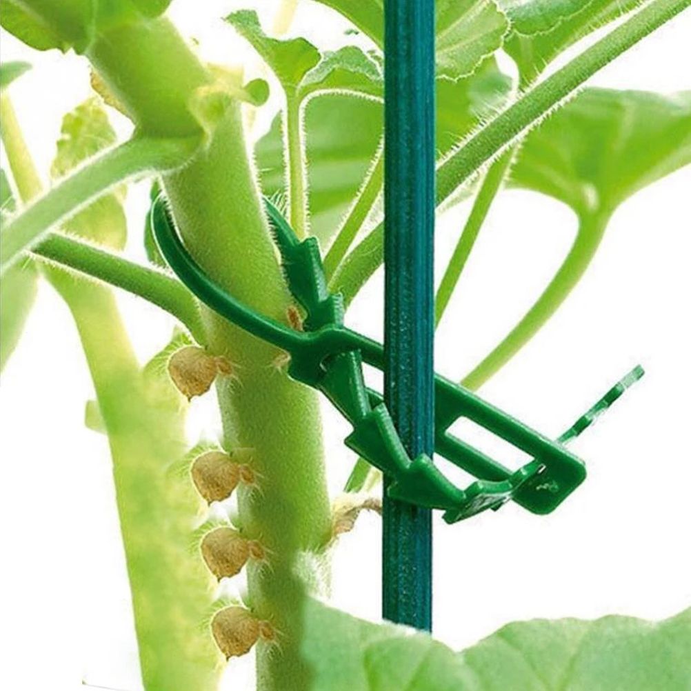 100PCS Tree Ties Adjustable Plant Ties Garden Ties Flexible Plant Cable Ties view 7