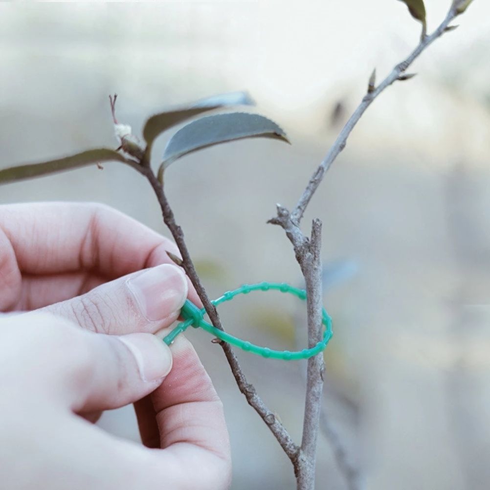 100PCS Tree Ties Adjustable Plant Ties Garden Ties Flexible Plant Cable Ties view 8