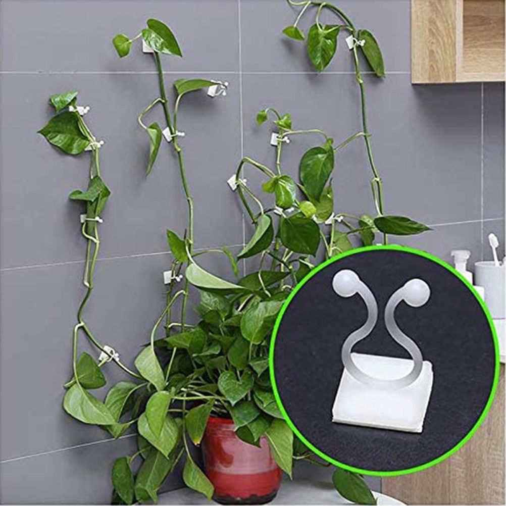 50Pcs Climbing Plant Fixture Clips Garden Vines Sticky Clips Wall Vines Fixed view 4