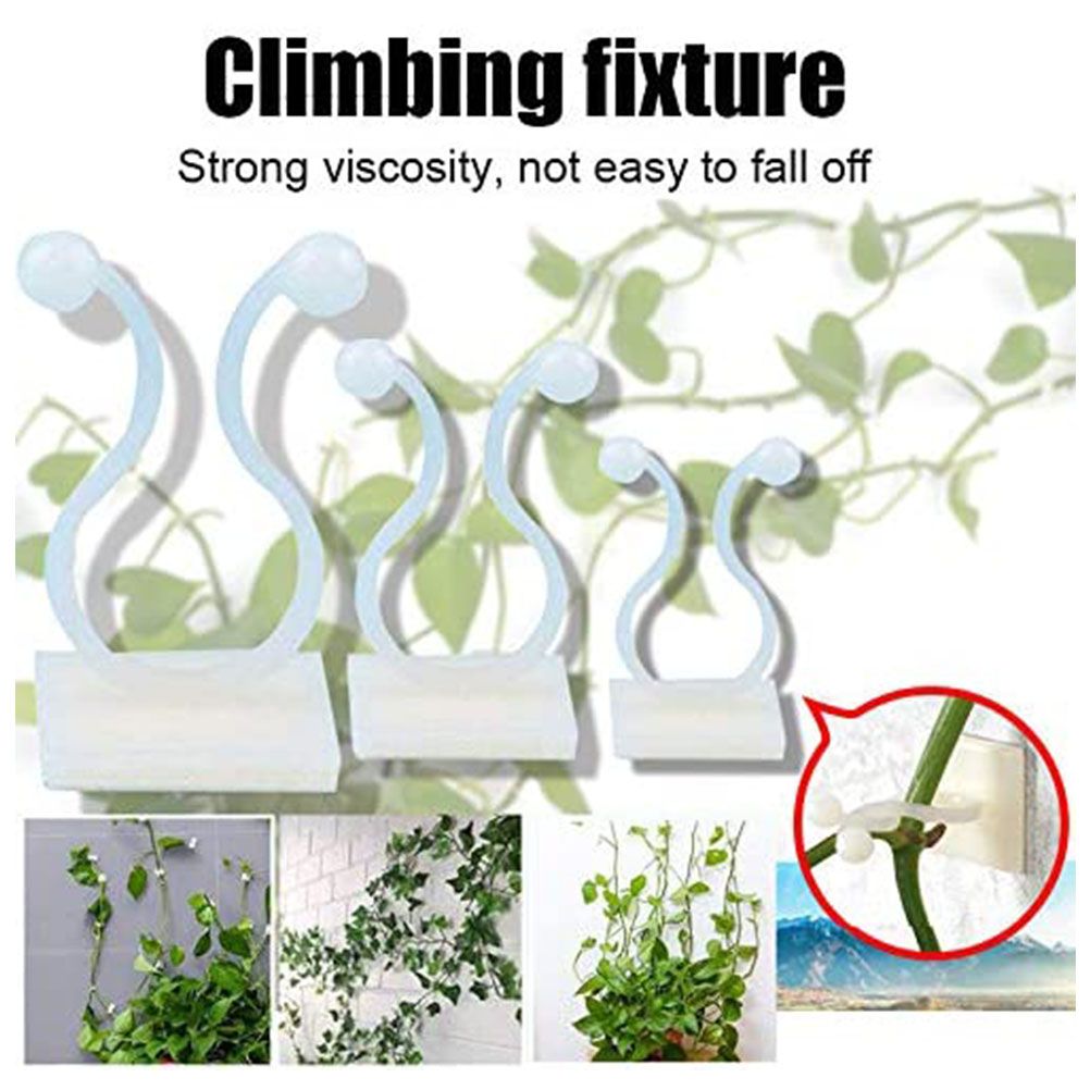 50Pcs Climbing Plant Fixture Clips Garden Vines Sticky Clips Wall Vines Fixed view 8