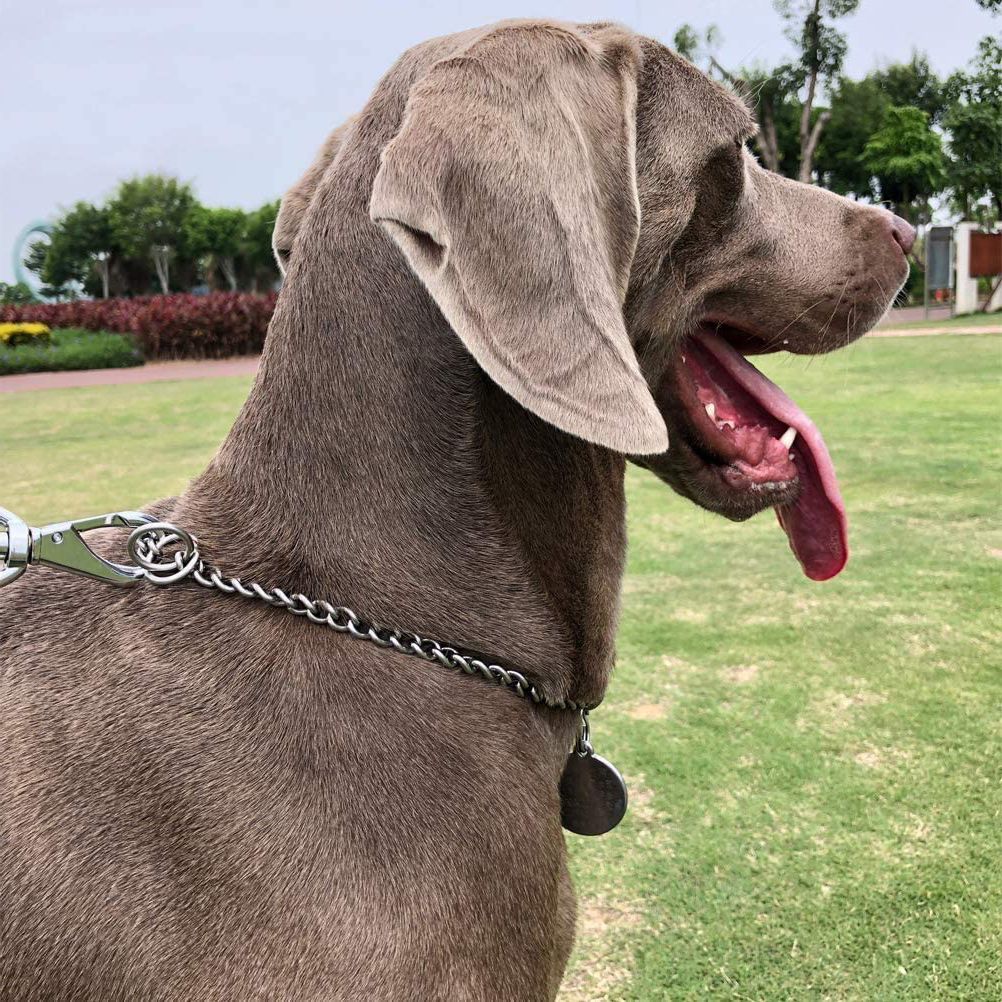 Pet Dog Collars Stainless Steel Training Collars Dog Chain Necklace for Dogs view 8