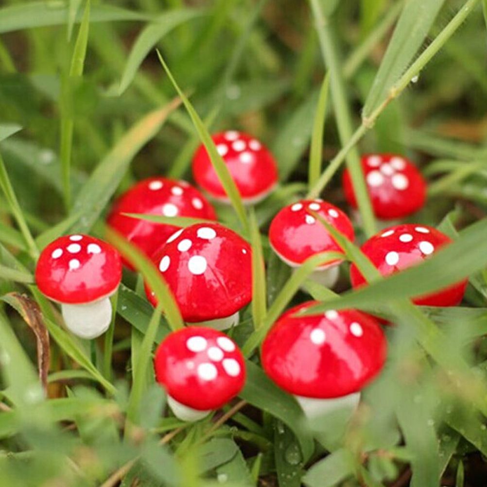 50PCS Mini Mushroom Decoration Miniature Garden Crafts Small Artificial Mushroom view 5