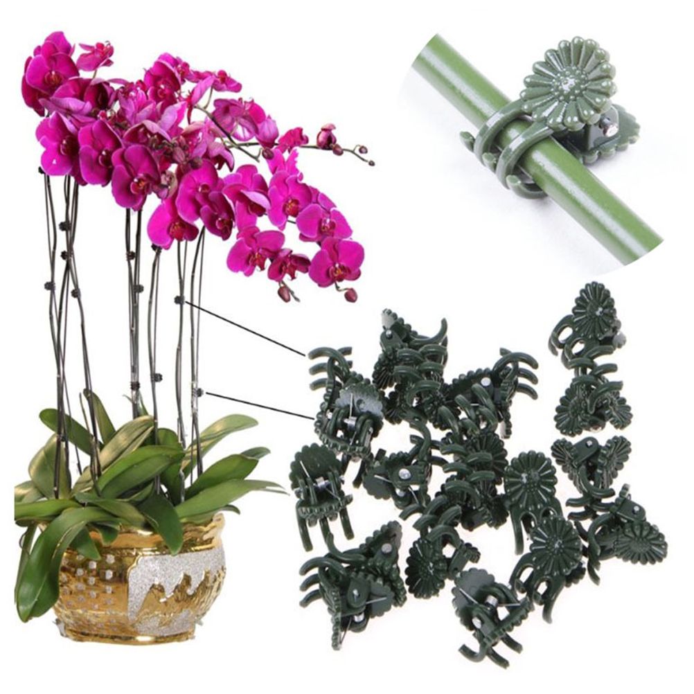50Pcs Plastic Plant Clips Vine Fixing Clip Gardening Clips for Orchid Tomato view 4