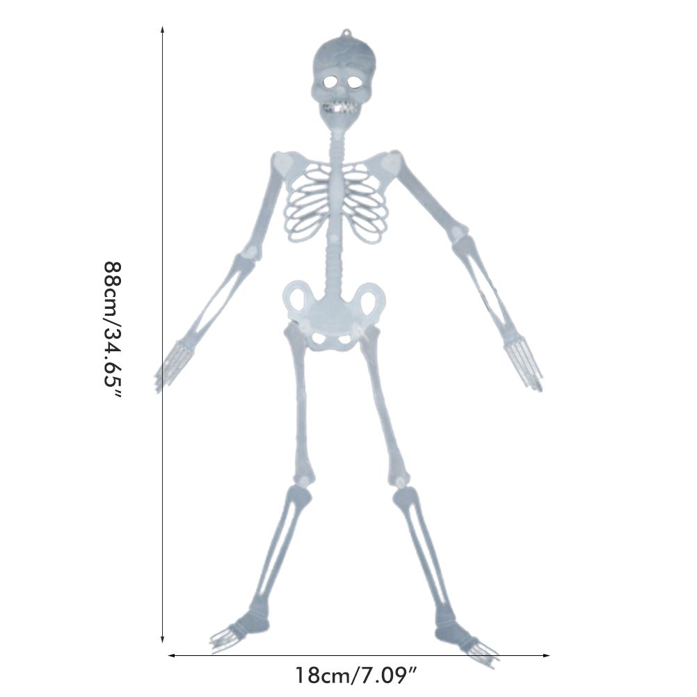 Glowing in the Dark Halloween Skeleton Decor Luminous Lifelike Skeleton Model view 2