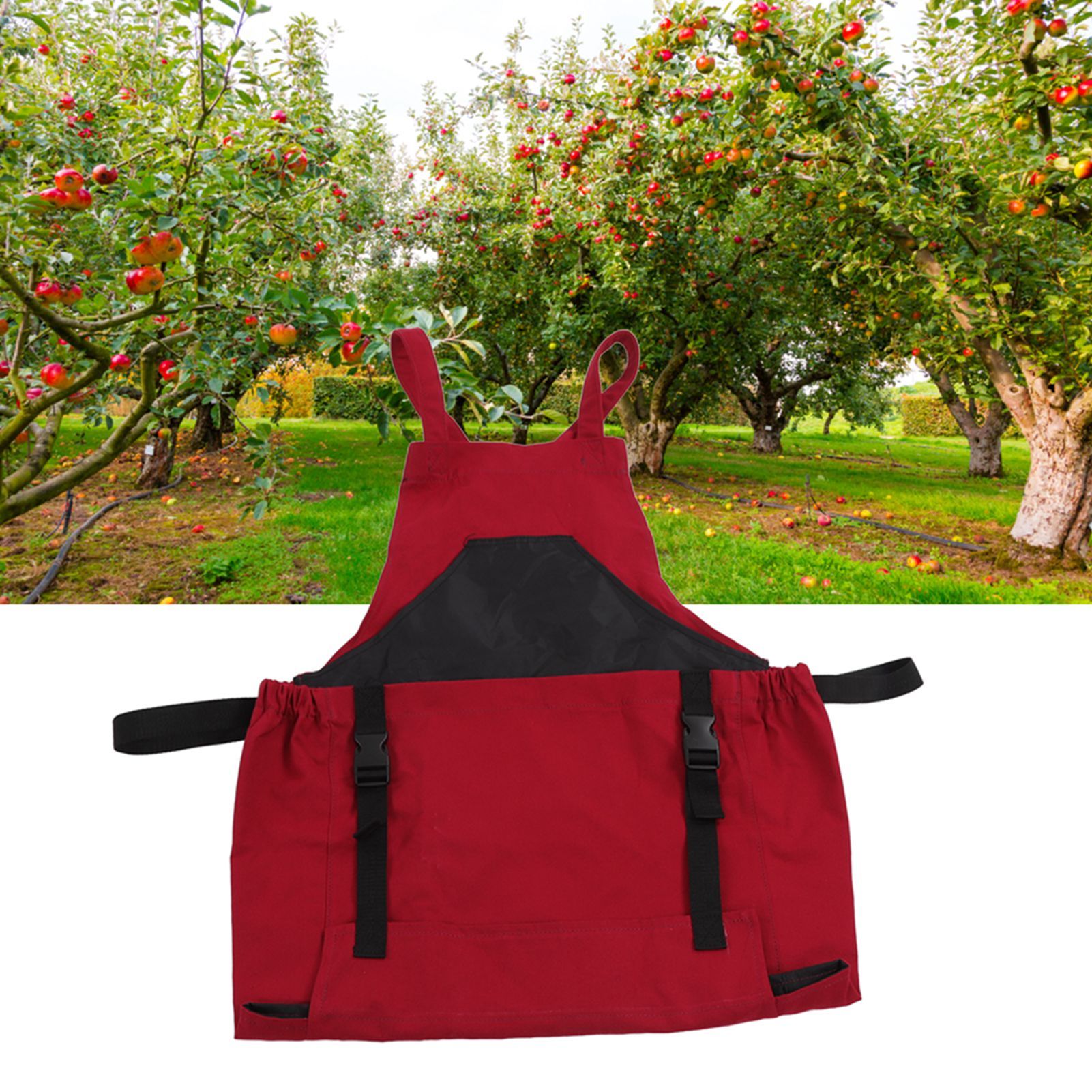 Gardening Apron Dark Red 210D PVC Waterproof Fabric Regulable Straps view 12