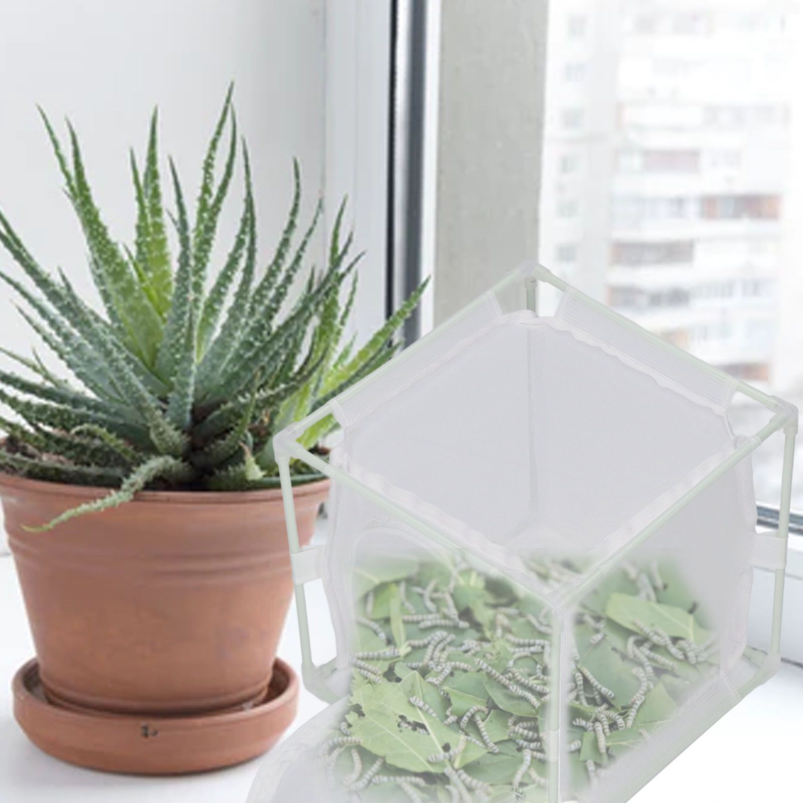 Insect Observation Cage PVC Mesh White Reusable Butterfly Habitat Breeding view 11