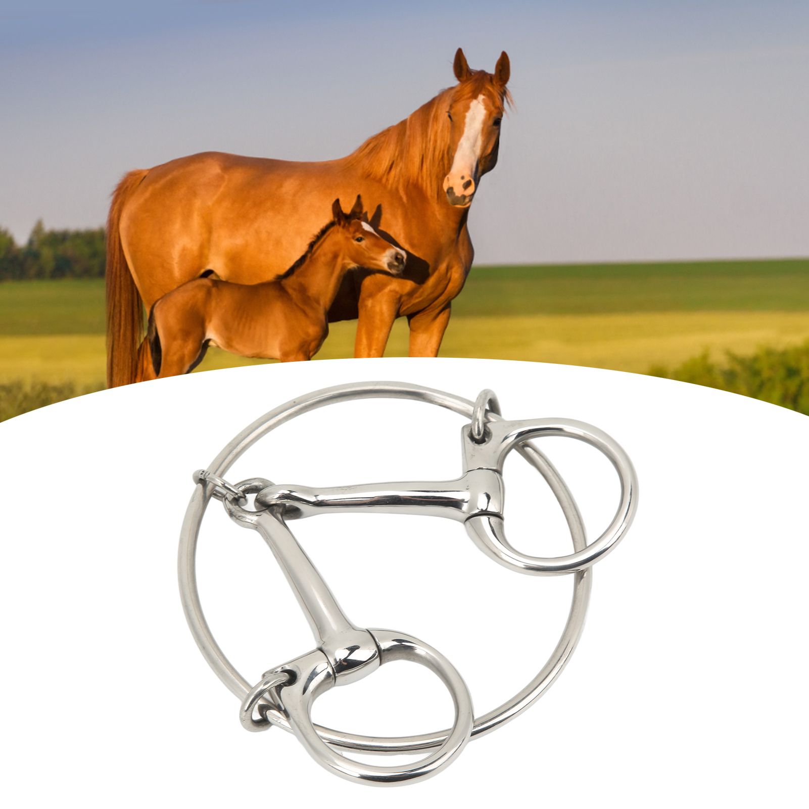 125mm Stainless Steel Horse Mouth Bit 5 Inch Horse Bits Outdoor Training Loose view 12