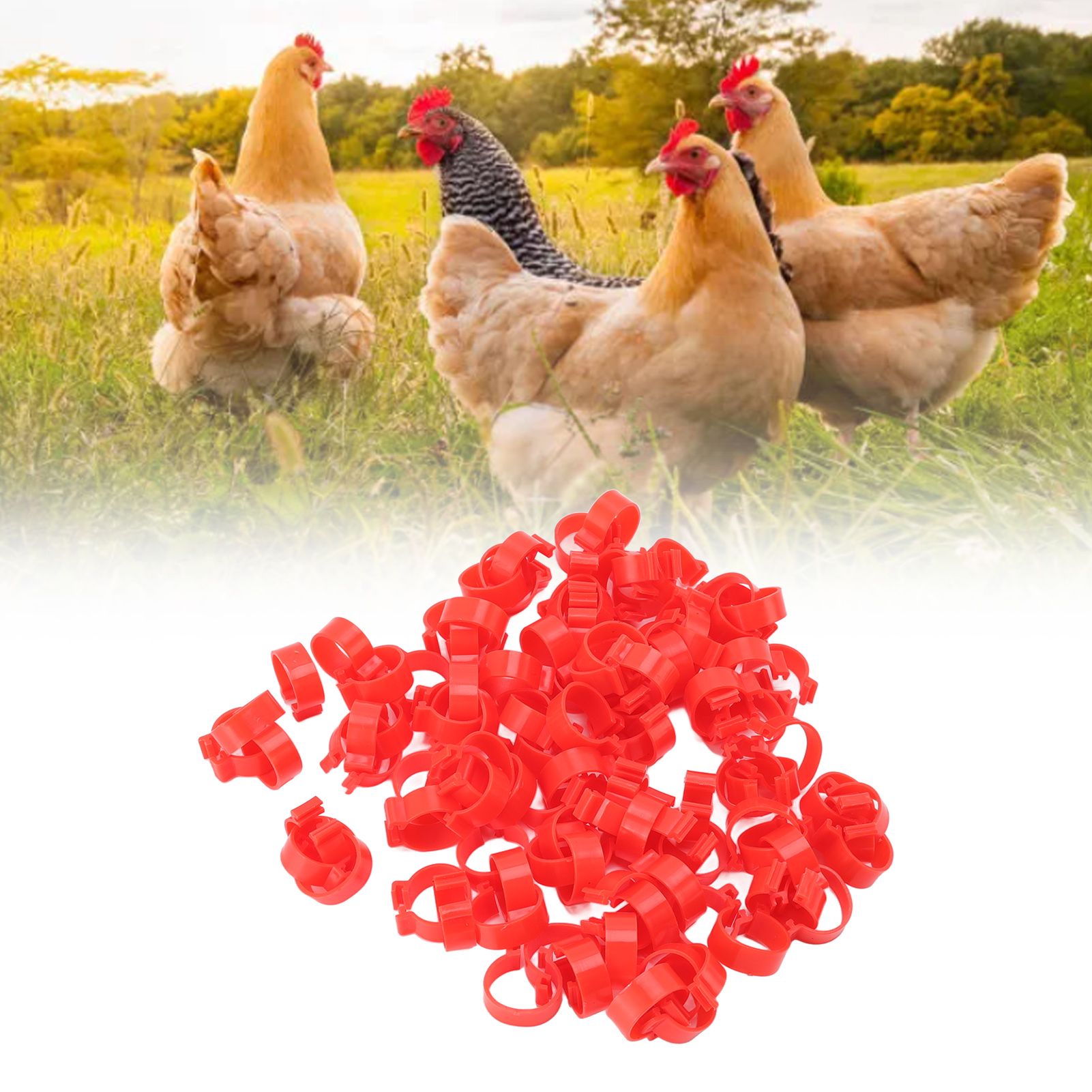 100pcs Poultry Feet Rings PP Plastic Reusable Chicken Duck Goose Leg Bands for view 11