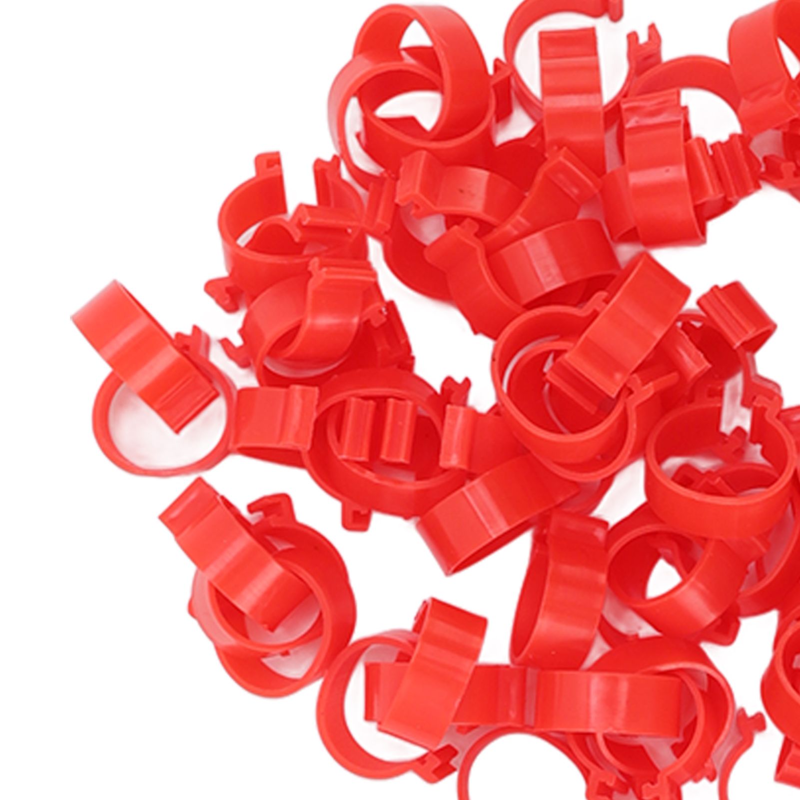 100pcs Poultry Feet Rings PP Plastic Reusable Chicken Duck Goose Leg Bands for view 14