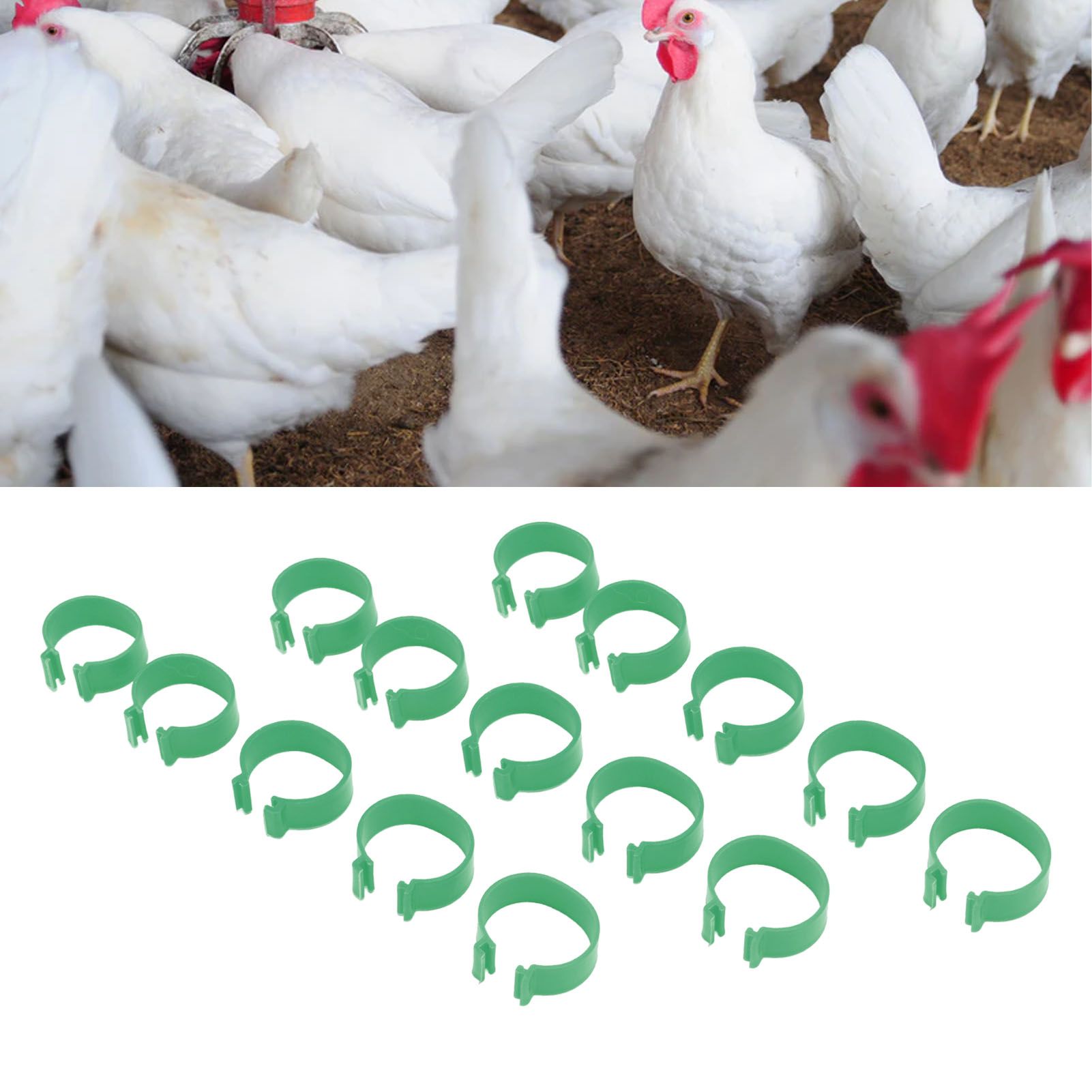 100 Pcs Poultry Feet Ring Open Type Buckle Breeding Chicken Duck Goose Foot view 11