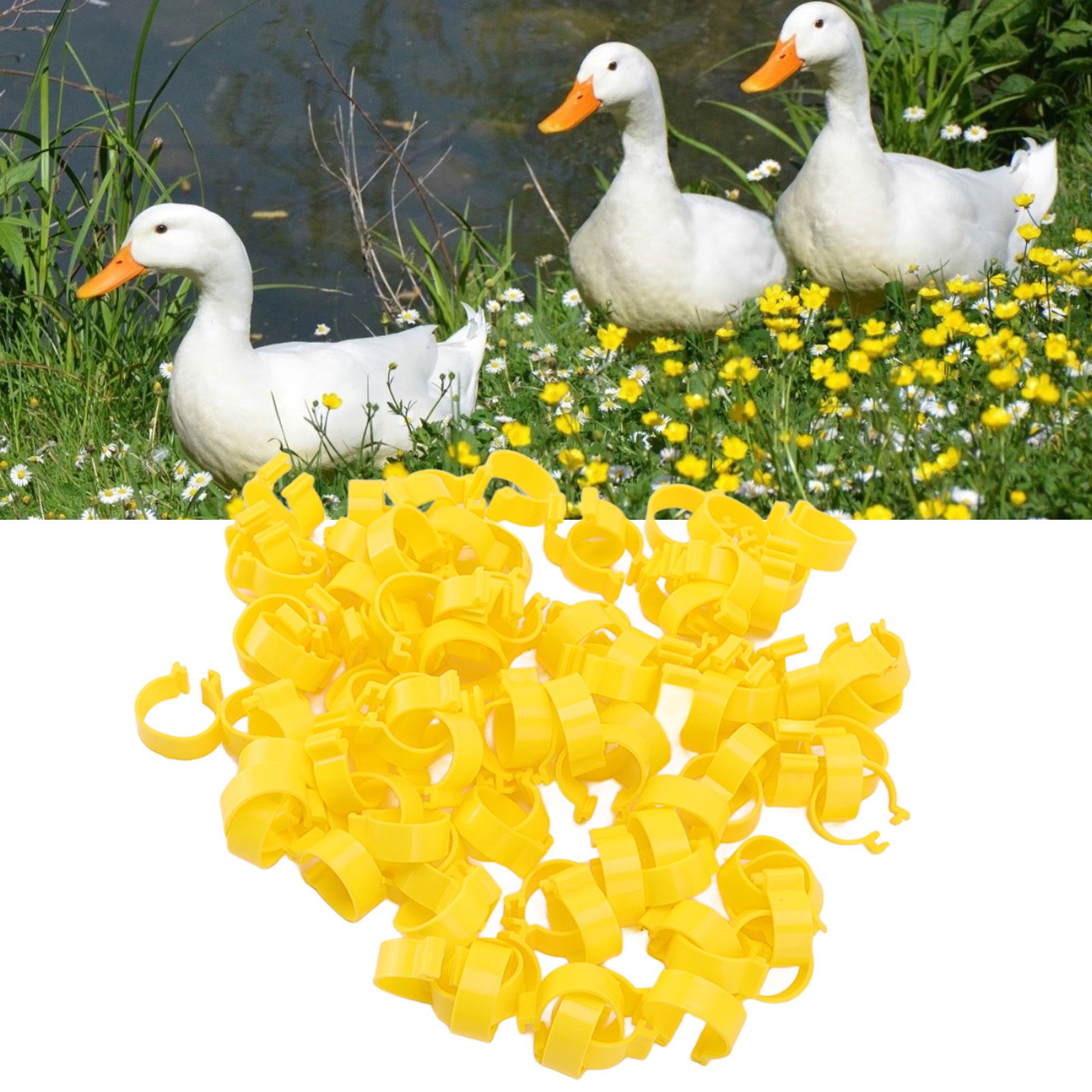 100PCS Chicken Ankle Rings Reusable Plastic Duck Leg Bands Clips For Breeding view 12