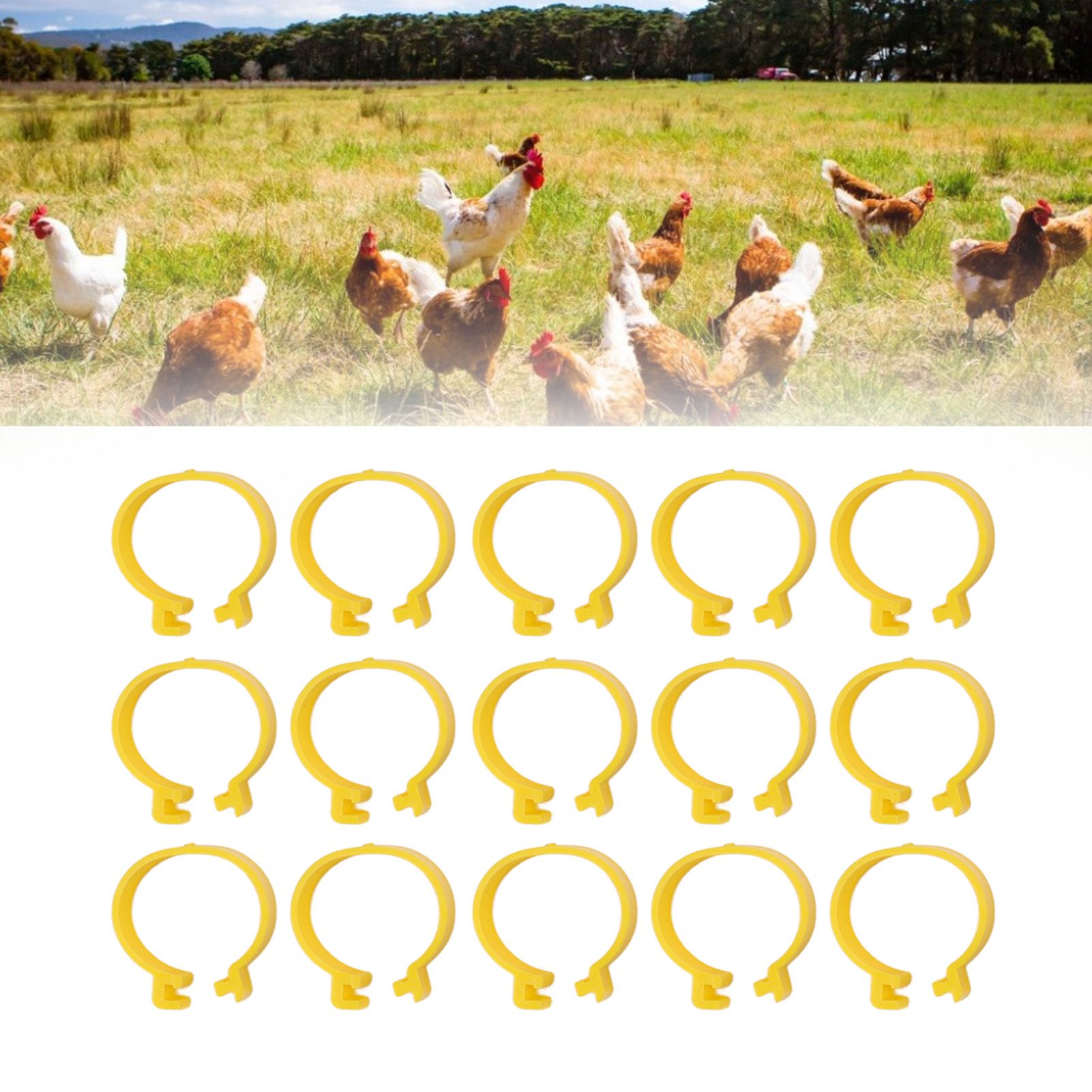 100PCS Chicken Ankle Rings Reusable Plastic Duck Leg Bands Clips For Breeding view 11