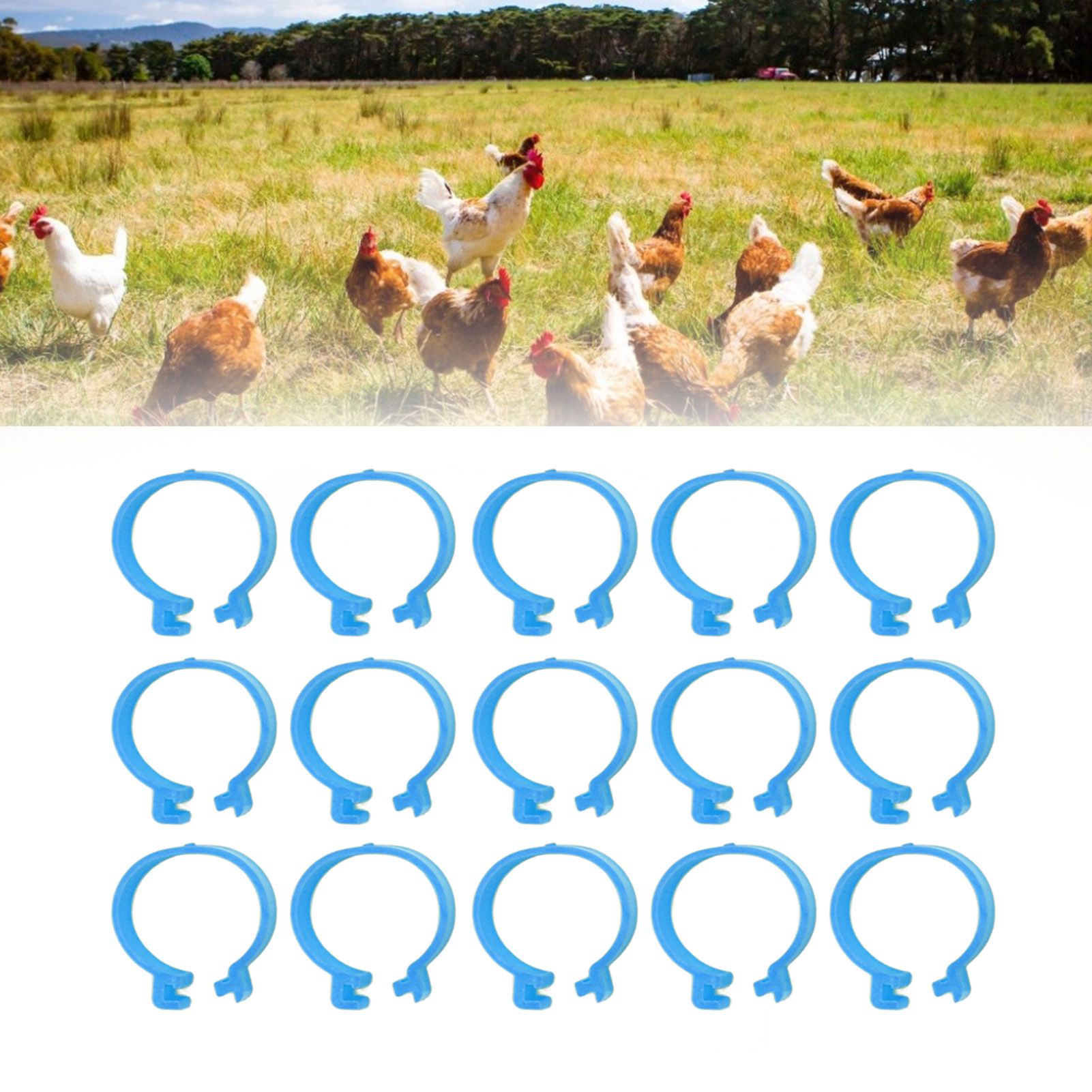 100Pcs Poultry Foot Ring Chicken Bird Duck Identification Leg Bands Open Type view 12